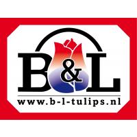 https://www.bltulips.nl/